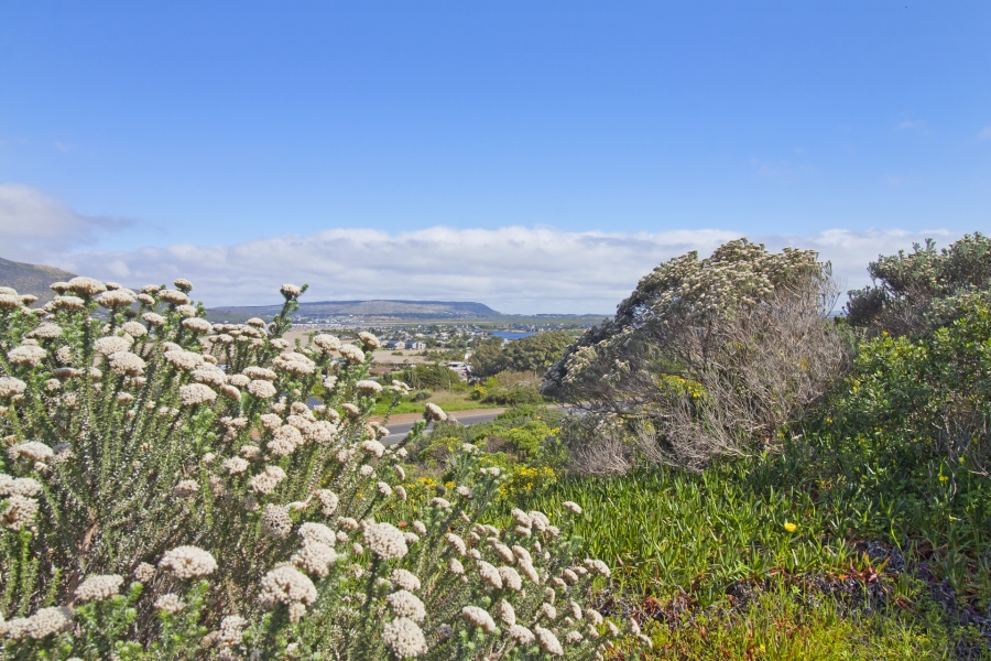 0 Bedroom Property for Sale in Chapman